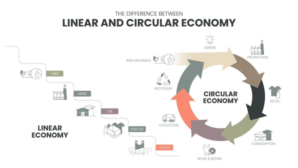 The difference between linear and circular economy