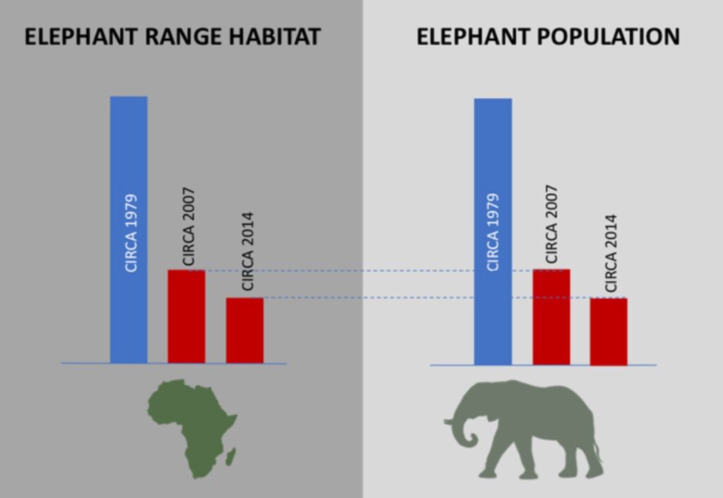 Decline of Elephant Population